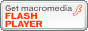 Macromedia Flash Player�̃_�E�����[�h�͂�����